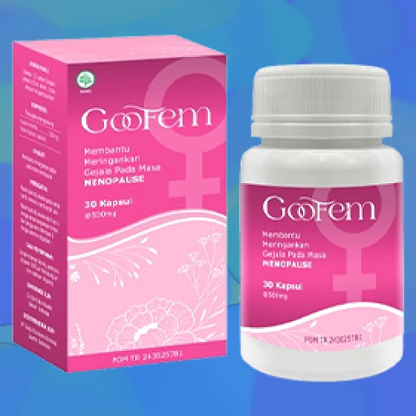 GOOFEM