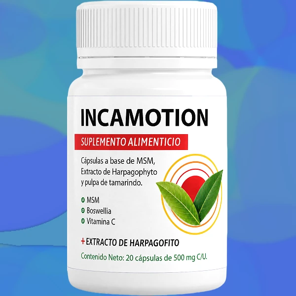 IncaMotion