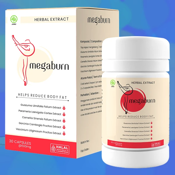 Megaburn
