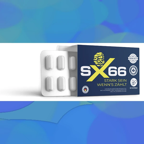 SX 66